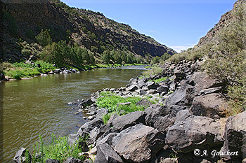 Am Uferrand des Rio Grande